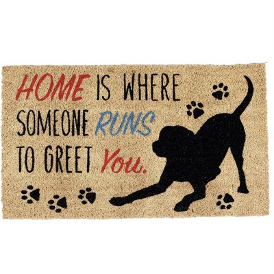 Design Imports  Home Dog Doormat