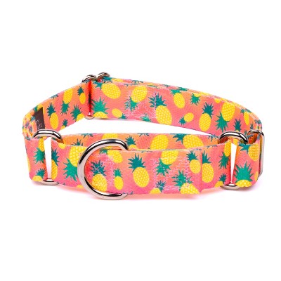 Country Brook Petz Martingale Dog Collar - Tasty Collection