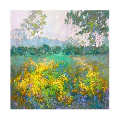 Trademark Fine Art - Barbara Schilling Gold Fields Canvas Art