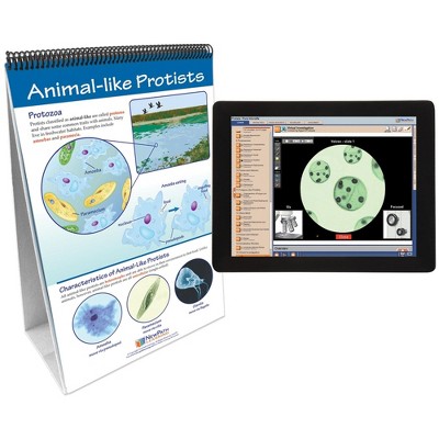 NewPath Learning Protists Pond Microlife Flip Chart and Online Multimedia Lesson, Grades 6 through 10