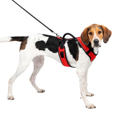 PetSafe EasySport Adjustable Dog Harness