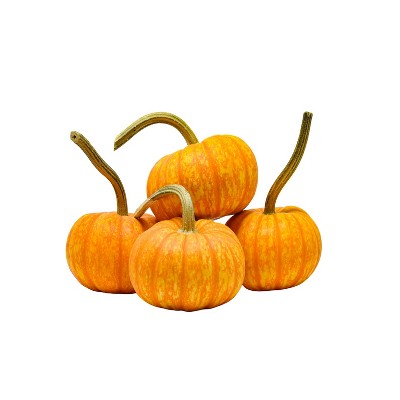 Ornamental Sparkler Pumpkin - each