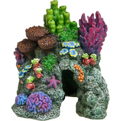 Exotic Environments - Red Sea - Hide-Away