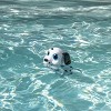 Paddle Tails - Sun Squad™: Dive Toys for Pool Games, Ages 4+ - 3 of 4