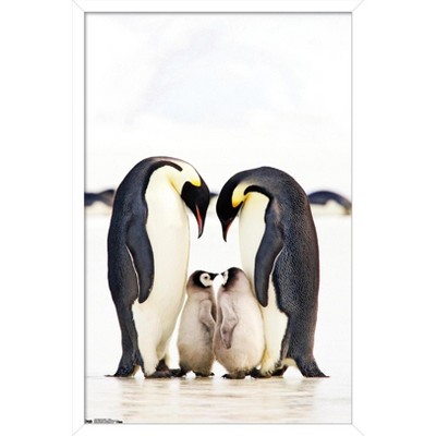 Trends International A Group Of Emperor Penguins Framed Wall Poster Prints