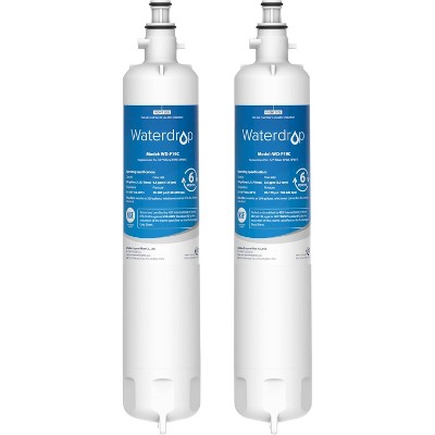 Waterdrop Replacement for GE RPWFE Refrigerator Water Filter 2 Filters