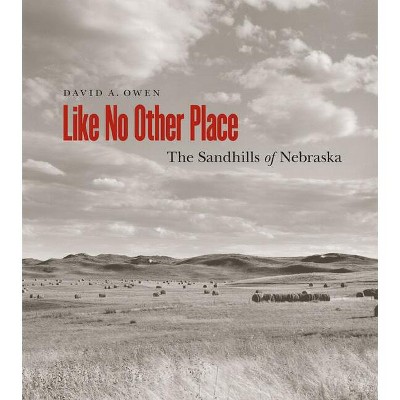 Like No Other Place - by  David Owen (Paperback)