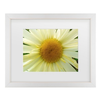 Trademark Fine Art - Leslie Montgomery Mellow Yellow Matted Framed Art