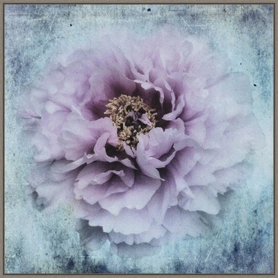30" x 30" The season I love by Stefan Eisele Framed Canvas Wall Art Print - Amanti Art