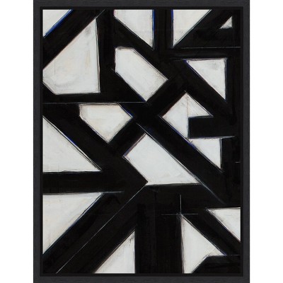 Amanti Art Topographic IV by Rob Delamater Canvas Wall Art Print Framed 18 x 24-in.