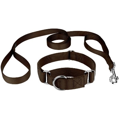 Country Brook Petz Martingale Heavyduty Nylon Dog Collar and Double Handle Leash