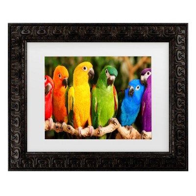 Trademark Fine Art - Mike Jones Photo Rainbow Parrots Matted Framed Art
