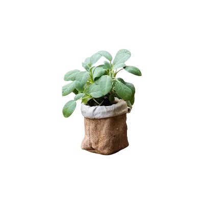 Slickblue Brown Cement Bag Pot, Mock Fold Style, Decorative Planter for Home or Garden, Small or Large Sizes