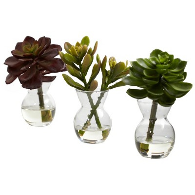 Nearly Natural Succulent Arrangements (Set of 3)