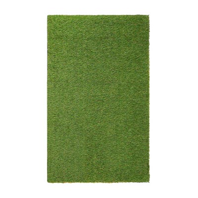 Artificial Grass Synthetic Lawn Indoor/ Outdoor Turf Area Rug by Blue Nile Mills