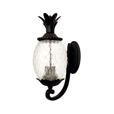 Acclaim Lighting Lanai 3 - Light Wall Light in  Matte Black