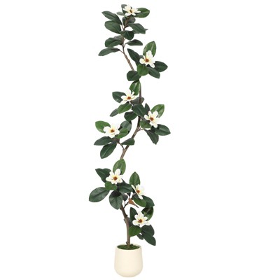 6/7ft Artificial Rubber Tree in White Planter Pot with 8 Magnolia Flowers - Fiddle Leaf Fig Style Floor Plant for Indoor Home or Office Decor