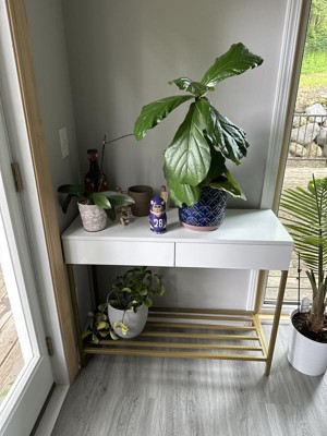Guest review image 4 of 4, zoom in