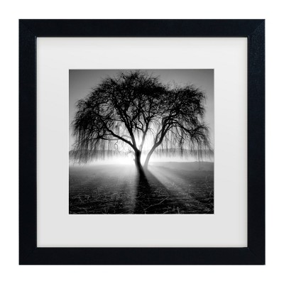 Moises Levy Lightning Tree I Matted Framed Art