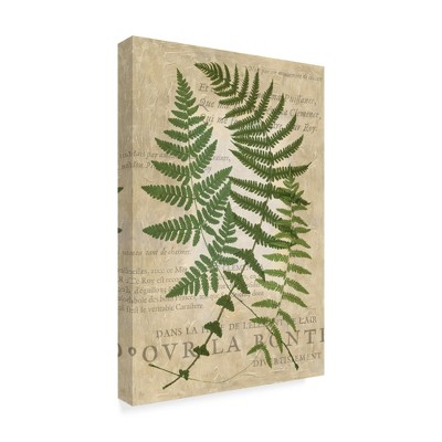Trademark Fine Art -Vision Studio 'Fern Folio I' Canvas Art