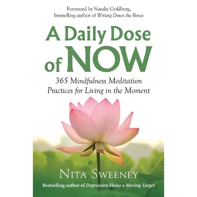 A Daily Dose of Now - by  Nita Sweeney (Paperback)