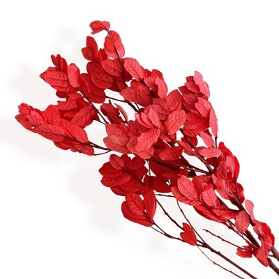 Alilang Decorative Dried Leafy Branches for Modern Home Decoration and Floral Arrangements, 15.5 Inches