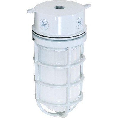 Nuvo Lighting 1 - Light Flush Mount in  White