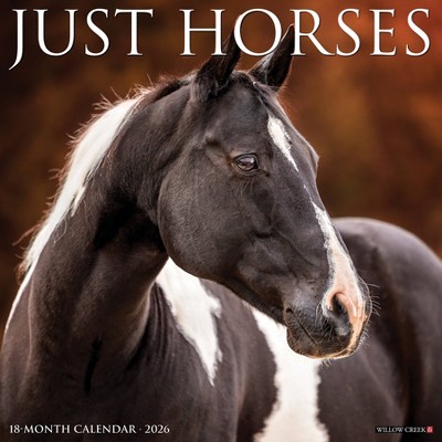 Willow Creek Press 2026 Horses Wall Calendar