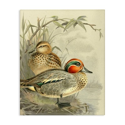 Stupell Industries Ducks with Pond Botanicals Canvas Wall Art