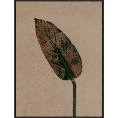 32" x 42" Calathea Brown by Pernille Folcarelli: Amanti Art Hand-Stretched Canvas