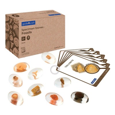 Kaplan Early Learning Fossil Specimens- 9 Stones