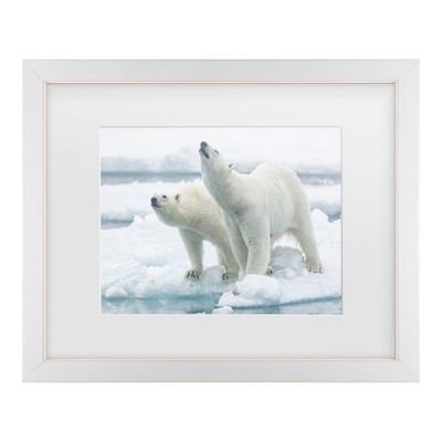 Trademark Fine Art - Joan Gil Raga Polar Bears, Mother And Son Matted Framed Art