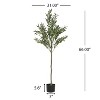 Artificial Olive Tree with Pot - 3 of 4