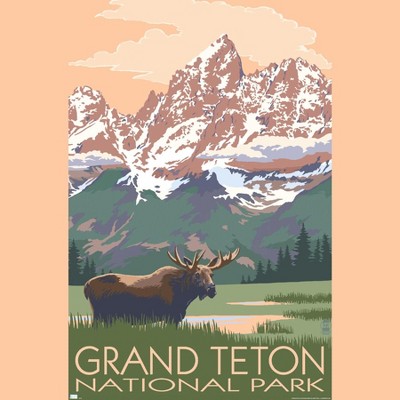 Trends International Lantern Press - Grand Teton Moose & Mountains Framed Wall Poster Prints
