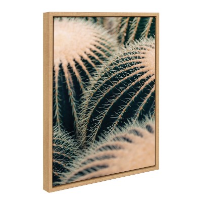 Kate & Laurel All Things Decor Sylvie Barrel Cactus Framed Wall Art by Alicia Bock Natural Desert Cactus Photography Wall Art