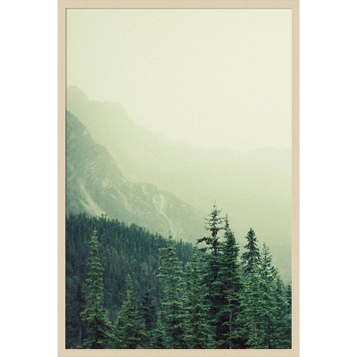 28"x41" Rocky Mountain Trees 7 by Lynann Colligan Wood Framed Wall Art Print Brown - Amanti Art: Fir Wood Frame, Vertical Lithograph