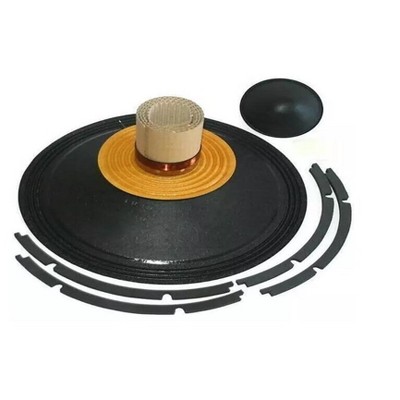 B&C 21" RECONE KIT R21DS115-8