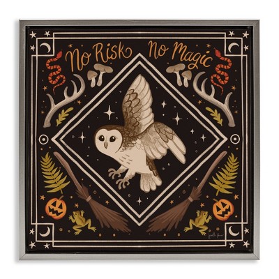 Stupell Industries No Risks or Magic Owl Floating Frame Canvas Art