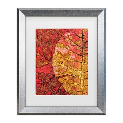 Trademark Fine Art - Ales Klabus Dying Leaf Matted Framed Art