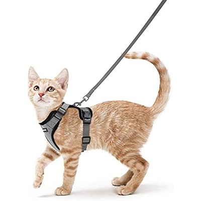 rabbitgoo Cat Harness and