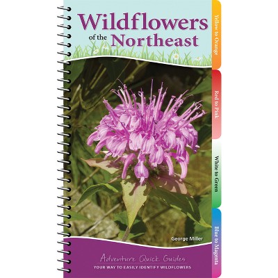 Wildflowers of the Northeast - (Adventure Quick Guides) by  George Oxford Miller (Spiral Bound)