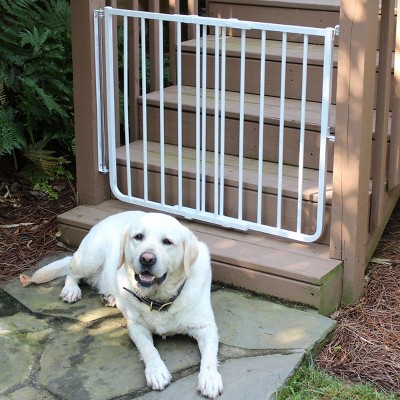 Cardinal Gates SS30OD Outdoor Baby & Pet Gate for Stairs