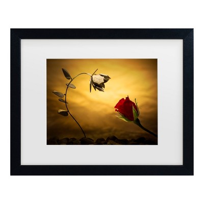 Trademark Fine Art - Wieteke de Kogel Opposites Attract Matted Framed Art