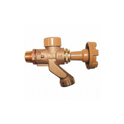Woodford  Anti-Siphon Hose Bibb,1/2 In, Brass 101CP