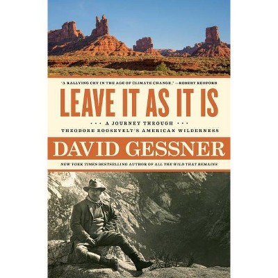Leave It as It Is - by  David Gessner (Paperback)