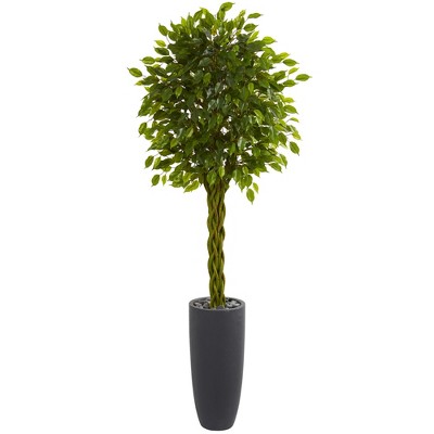 Nearly Natural 6.5-ft Braided Ficus Artificial Tree in Cylinder Planter UV Resistant (Indoor/Outdoor)