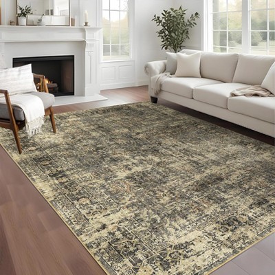 Washable Area Rug Vintage Distressed Rug Non Slip Rug Low Pile Rugs Soft Throw Rug Foldable Indoor Carpet for Living Room