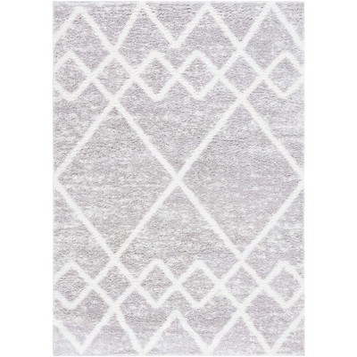 Berber Shag BER574 Power Loomed Rug - Safavieh