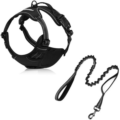 rabbitgoo Dog Harness with 5.2FT Tactical Bungee Leash, No Pull Oxford No Choke Pet Vest with Easy Control Handle for Small Dogs