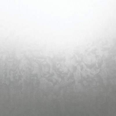 Set of 2 (27"x158") Fablon Ice Flowers Window Film Set: Vinyl Adhesive Privacy & Light Filtering Botanical Design
